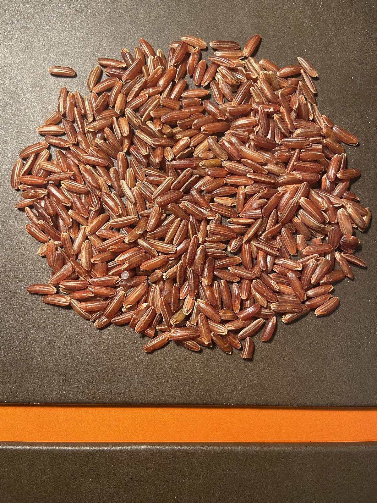 Red Rice